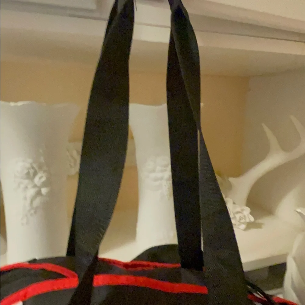 Disney Minnie Dots super cute diaper bag with a bottle holder& stroller straps